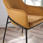 Performance Velvet Upholstered Dining Armchair with Gold-Tipped Black Metal Legs