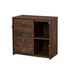Two-Drawer File Cabinet with Open Shelves Washed Gray Wood Finish