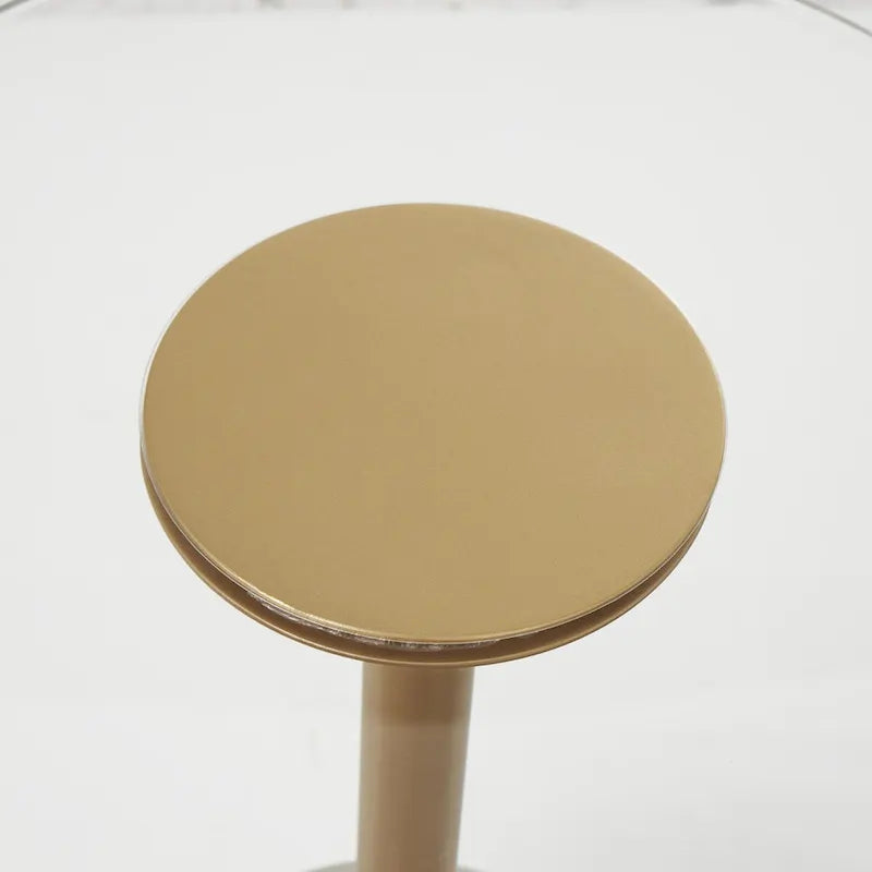 Acrylic Plastic Side End Accent Table with Elevated Base and Gold Stand - Clear